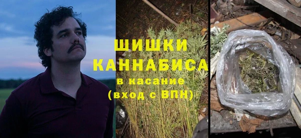 индика Балабаново