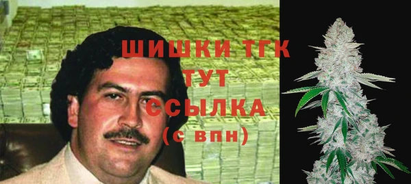 индика Балабаново