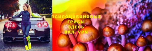 индика Балабаново